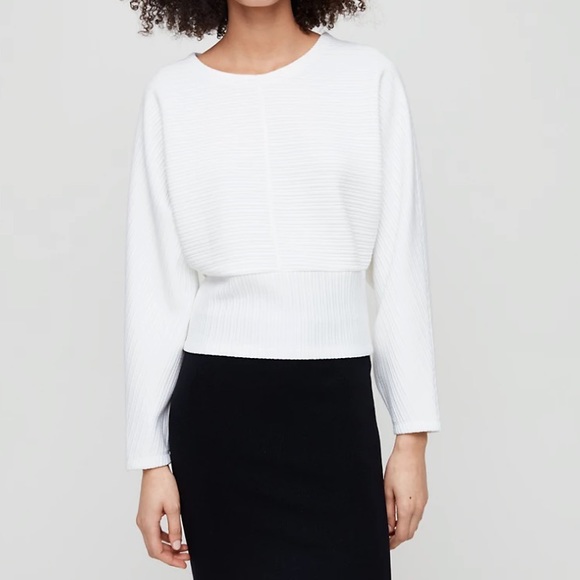 Aritzia Tops - ❗️SOLD❗️ Babaton Hal Sweater Size XS